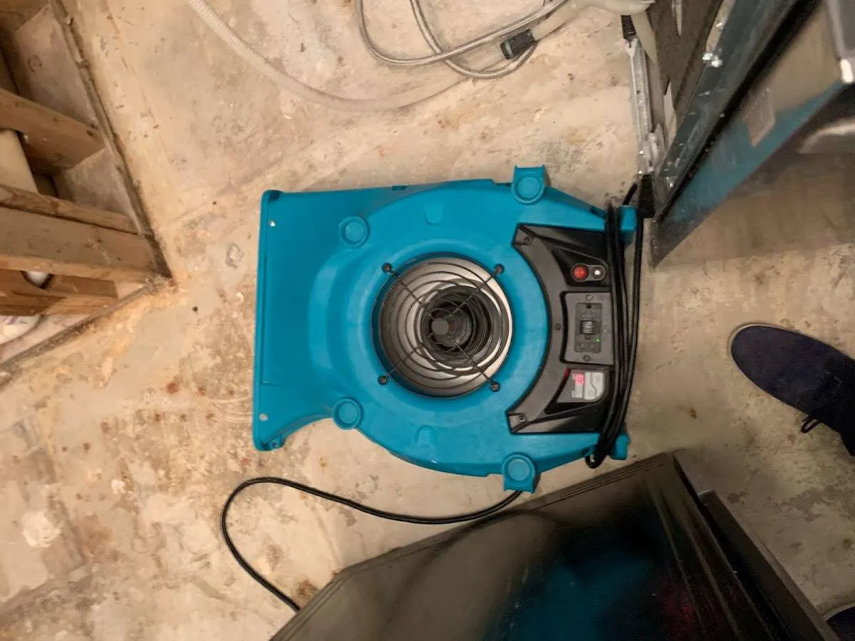 Air mover drying equipment for Mold Remediation & Removal in Fort Lupton
