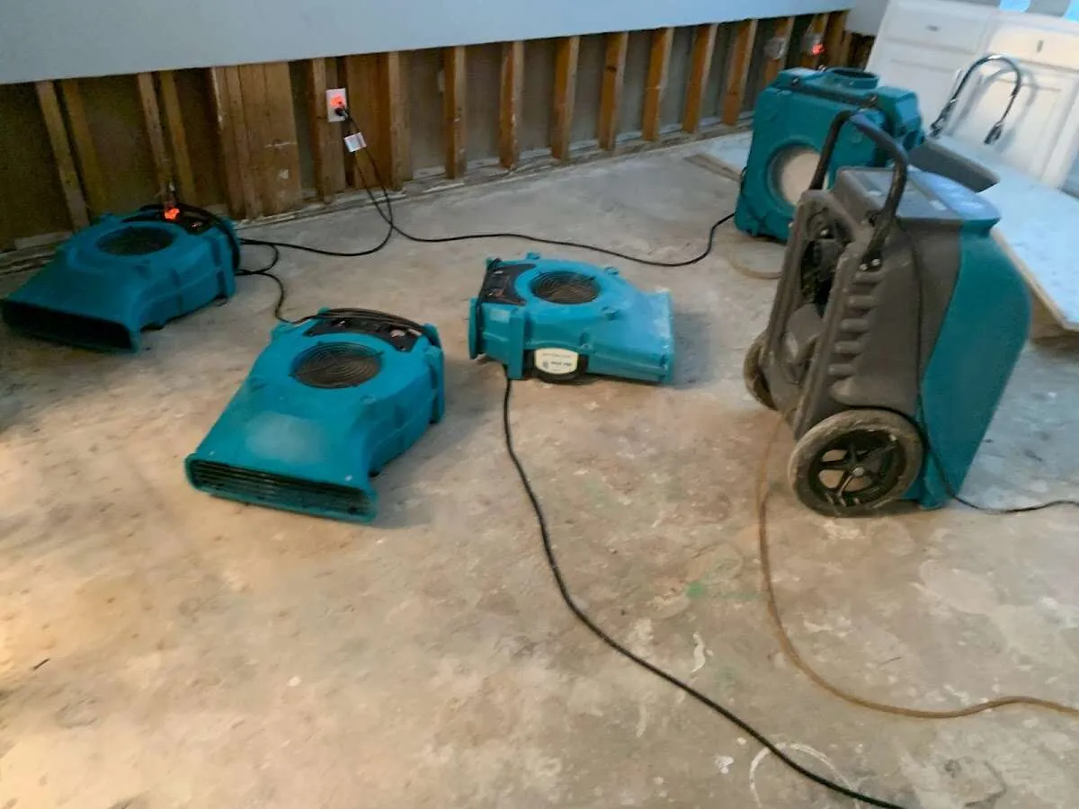 Mold Remediation & Removal in Fort Lupton, CO